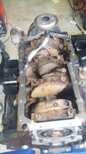 12021930_10206777434947040_866299421_n